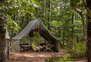 AOFOTO 7x5ft Scouts Forest Camping Backdrop Summer Camp Canvas Tent Photography Background Jungle Explore Hiking Woods Adventure Tree Plant Suburb Picnic Outdoor Campground Girl Boy Photo Studio Props