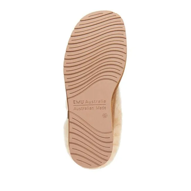 Emu 'Albany' - Chestnut