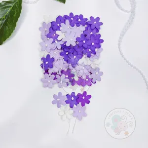 Flat Flowers With Pollens - Purple Family