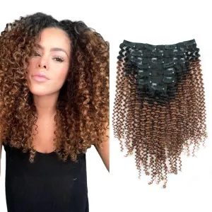 Sassina Ombre Kinky Curly Clip in Human Hair Extensions Natural Curly Clip in for African American Black Women 7Pcs-120G Ombre Natural Black Fading to Ginger TN30 12 Inch