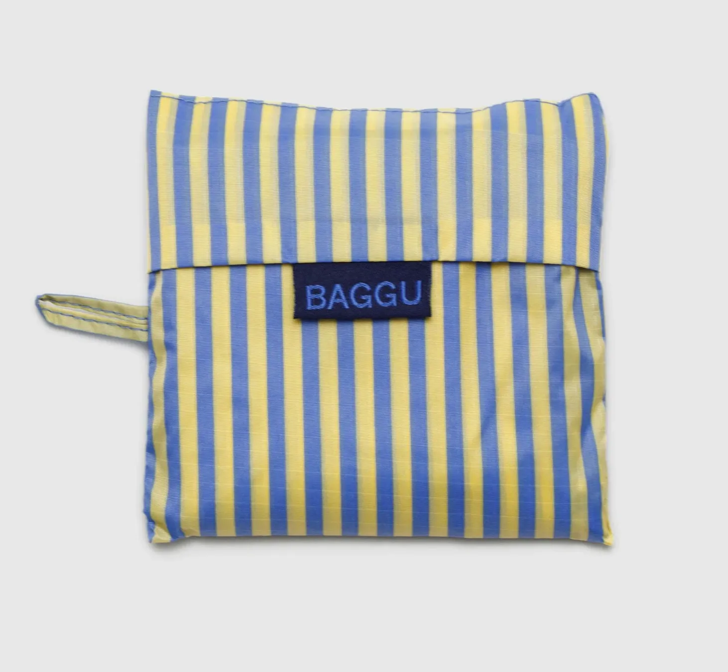 Standard Baggu Blue Thin Stripe